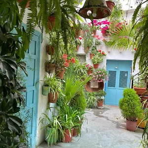 apartamento-la-vejer-de-la-frontera.es-andalucia.com/
